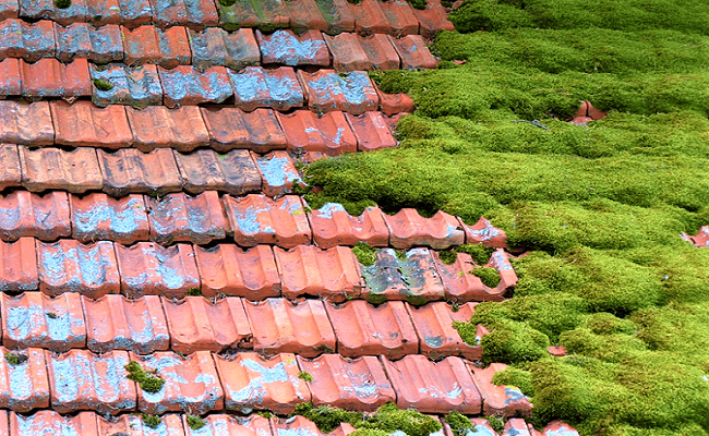 Догляд за покрівлею